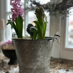 Eimer-Topf-Vase-Lupinus klein