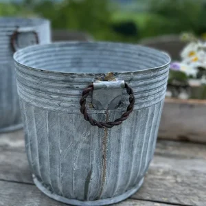 Topf Centranthus klein