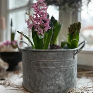 Eimer, Übertopf Zink