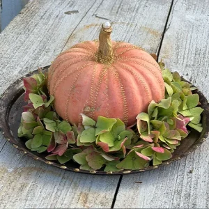 Herbstdeko Kombi 1 – Teller Lauri