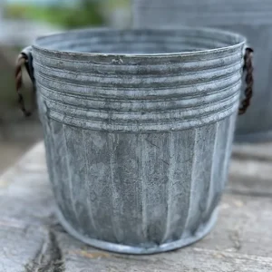 Topf Centranthus mittel