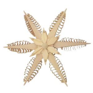 Fensterbild Spanstern, elektrisch