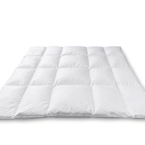 FALKENRECK Daunendecke WELLNEST