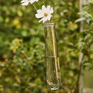 Glasvase zum Hängen Marlo