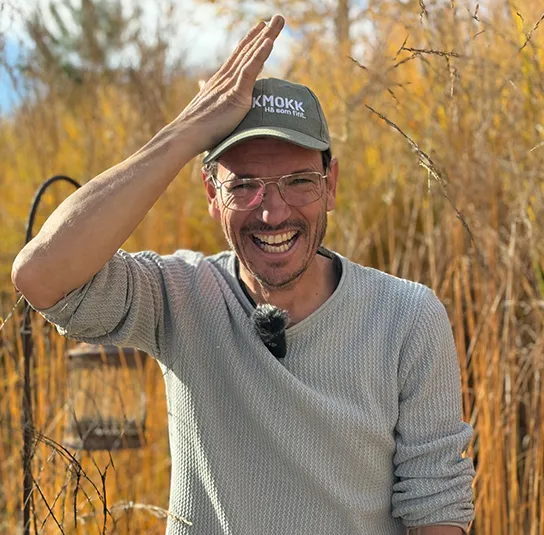 Molinia arundinacea ´Karl Foerster` – Riesen – Pfeifengras – Bild 4