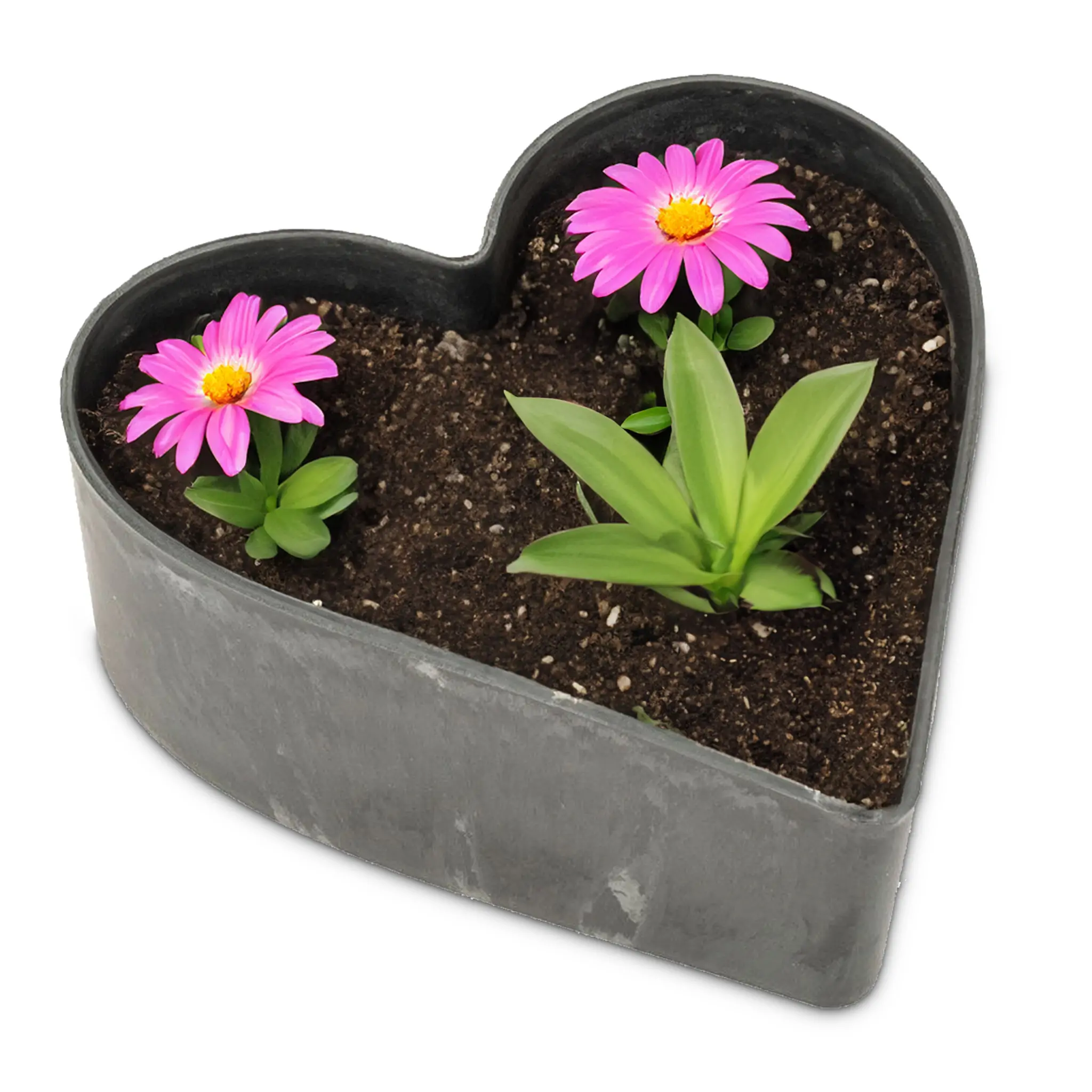 Pflanzschale Herz als Blumenschale Grabschmuck schwarz in 3 Größen – Bild 9