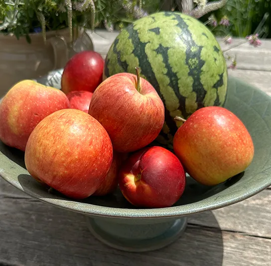 Schale, Schüssel Grön – Bild 7