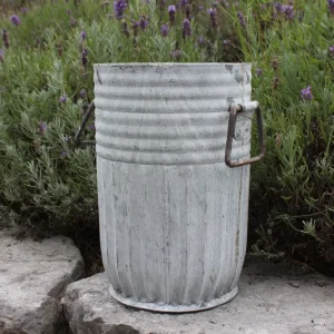 Tof Centranthus niedrig