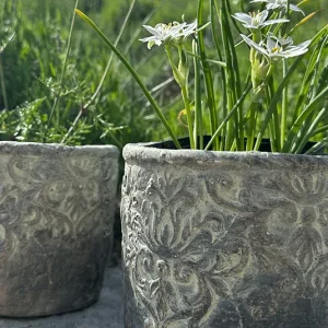 Topf, Übertopf Bjarne