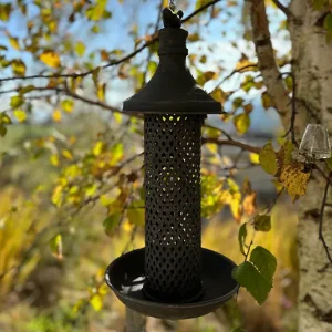 Vogelfutterspender, Vogelhaus Besonders