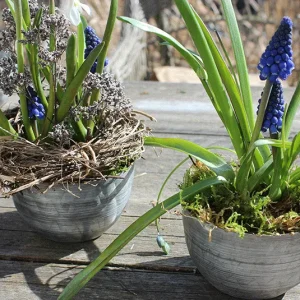 Zinkschale Lena klein