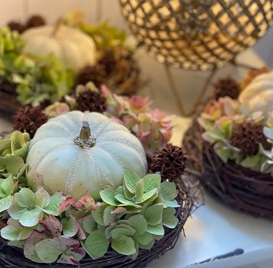 Amberbaum trocken 10 Stk – Bild 3