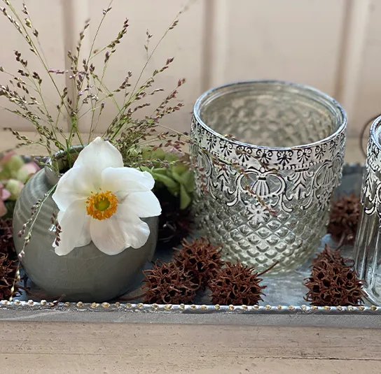 Amberbaum trocken 10 Stk – Bild 7