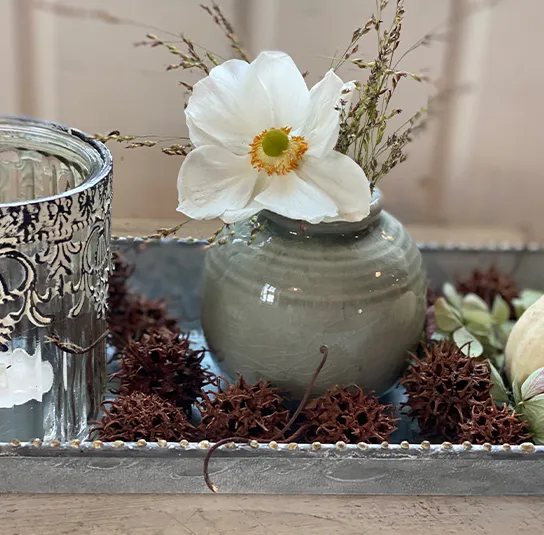 Amberbaum trocken 10 Stk – Bild 4