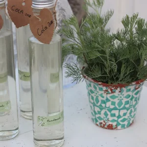 Artemisia abrotanum var. maritima ´Cola` – Cola-Kraut