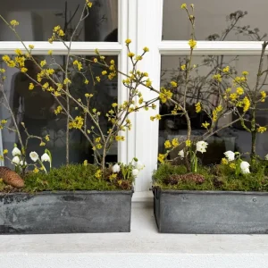 Zinktopf, Blumenkasten länglich – 2 Größen