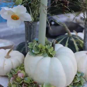 Kürbis Casperita – weiß groß