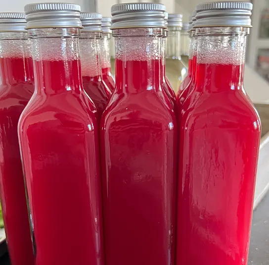 Cornus mas – Kornelkirsche Dunkle Süße ´Szafer`, Dirndlstrauch – Bild 9