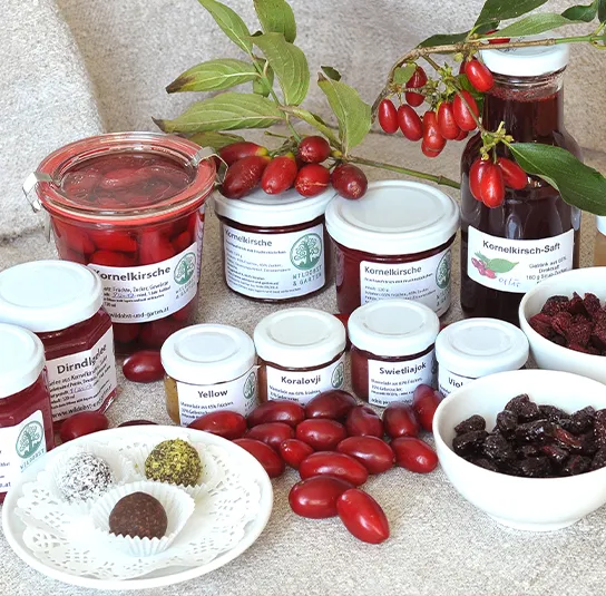 Cornus mas – Kornelkirsche Dunkle Süße ´Szafer`, Dirndlstrauch – Bild 5