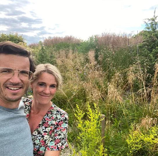 Galium verum – Echtes Labkraut – Bild 6