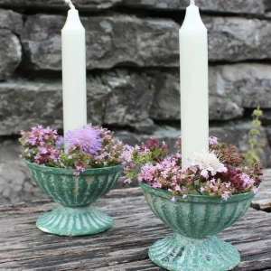 DIY Set – Topf Jule mint