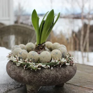 DIY Set – Finn 3 inkl. Wachteleier