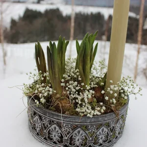 Set – Frühlingsteller Naila