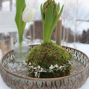 Set – Frühlingsteller Lana grün/türkis