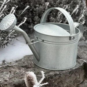 Gießkanne Blech verzinkt 5 l