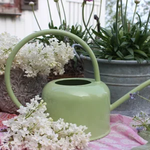 Gießkanne hellgrün
