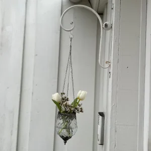 Hängelicht Flora und Wandaufhang Rosmarin im Set (du sparst 2,90)