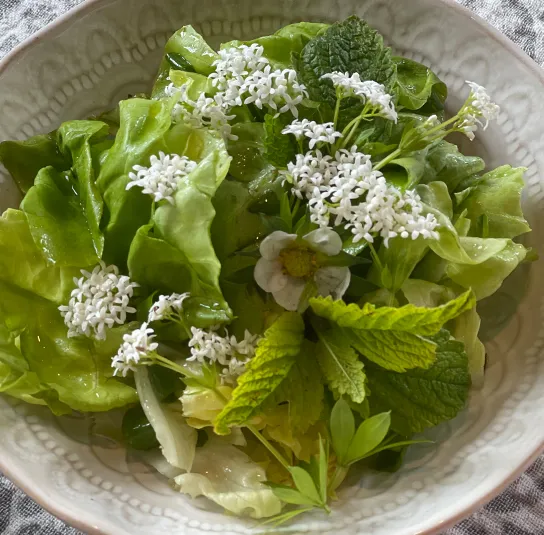 Schüssel Happiness – Bild 8