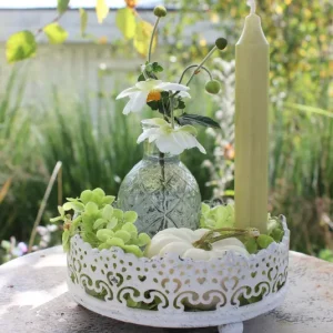 Set Kürbisdeko, Herbstdeko – Teller antique creme rund klein baby boo