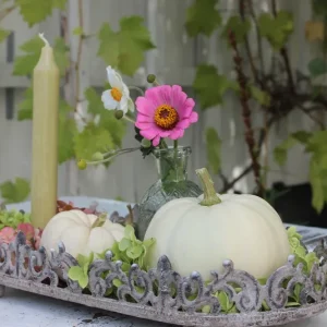 Set Kürbisdeko, Herbstdeko – Teller Söt oval grau groß