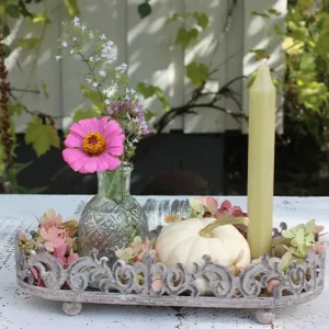 Set Kürbisdeko, Herbstdeko – Teller Söt oval grau klein