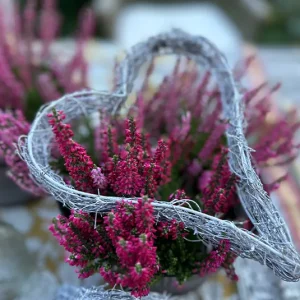 Herz Rebe grau/weiß