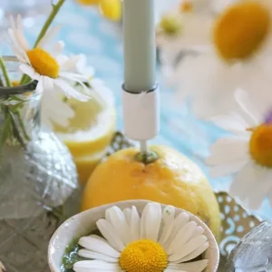 Kerzenspieß Zink für dünne Stabkerzen weiß