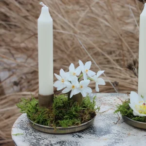 Set – Frühlingsteller Livia gold inkl. 2 Magnete