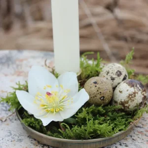 Set – Frühlingsteller Livia gold inkl. Wachteleier