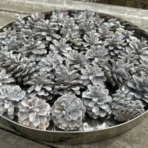 Kieferzapfen 5 Stk white washed