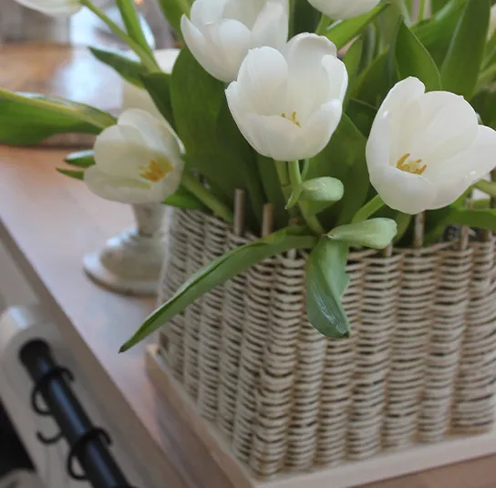 Hanf, Kordel, ganze Rolle – 20m – Bild 6