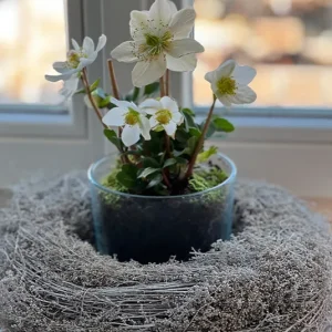 Kranz Artemisia und Glas mit Schneerose im Set (du sparst 3,80)