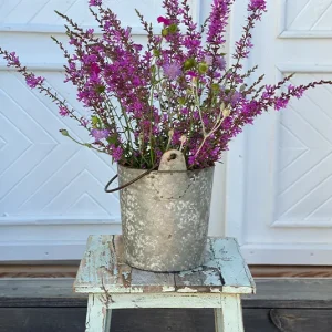 Eimer-Topf-Vase-Lupinus