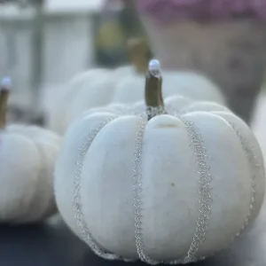 Kürbis weiß groß dekoriert