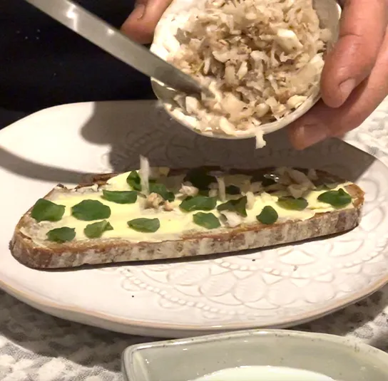 Lysimachia nummularia – Pfennigkraut – Bild 3