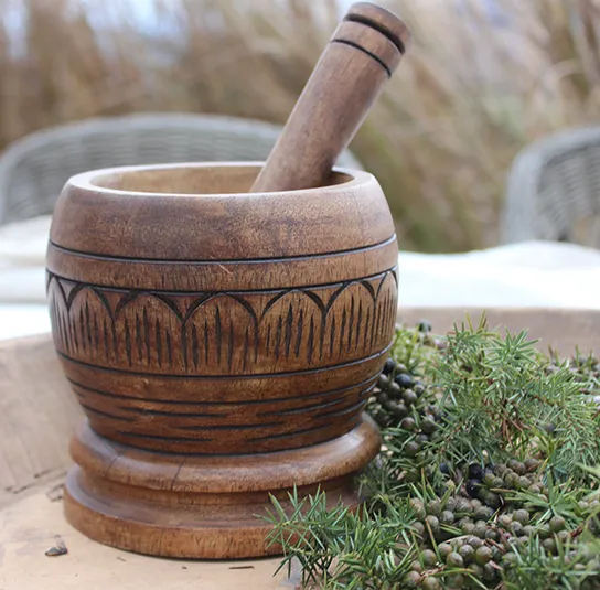 Juniperus communis – Heimischer Wacholder – Bild 3