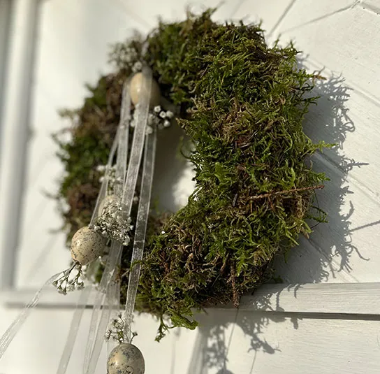 Moos – Plattenmoos – Bild 7