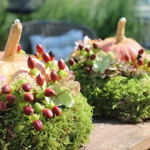 DIY Set – Mooskranz mit Kürbis zum selbst Dekorieren