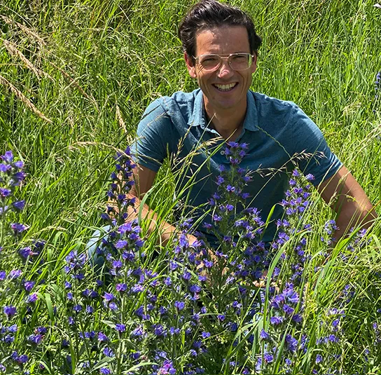 Echium vulgare – Natternkopf – Bild 6