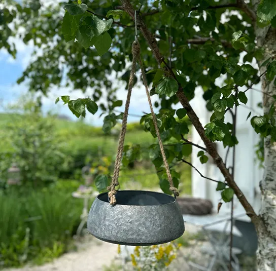 Pflanztopf, Schale zum Hängen